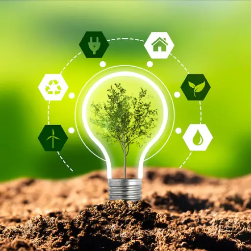 IT consulting services UAE