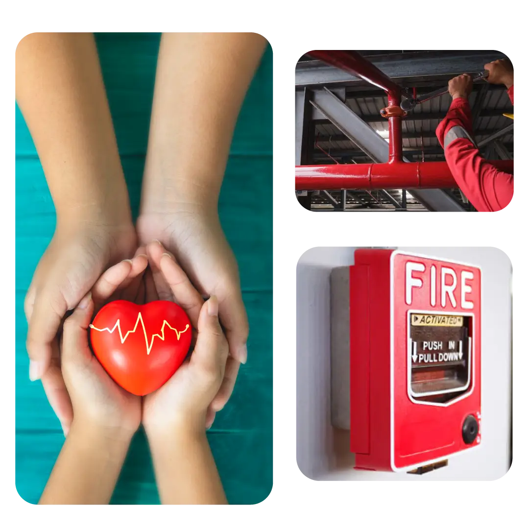 IT networking solutions UAE